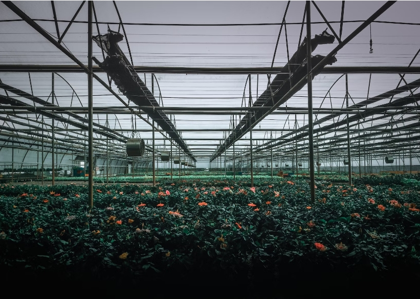 Where is the best place to put a small greenhouse?