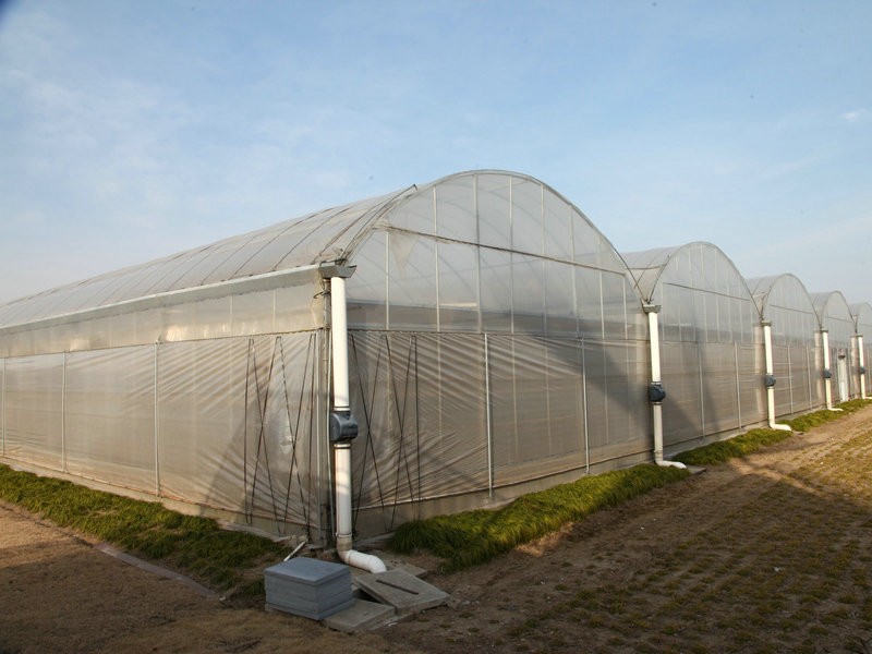 What is the purpose of a greenhouse?