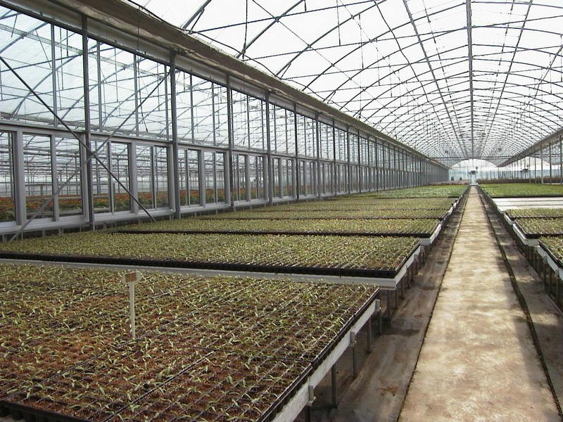 What Accessories Do You Need in a Greenhouse?