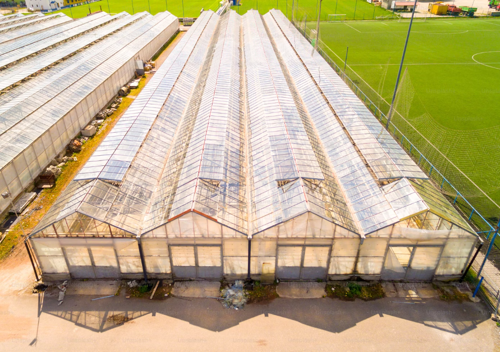 Why Do My Plants Keep Dying in My Greenhouse?