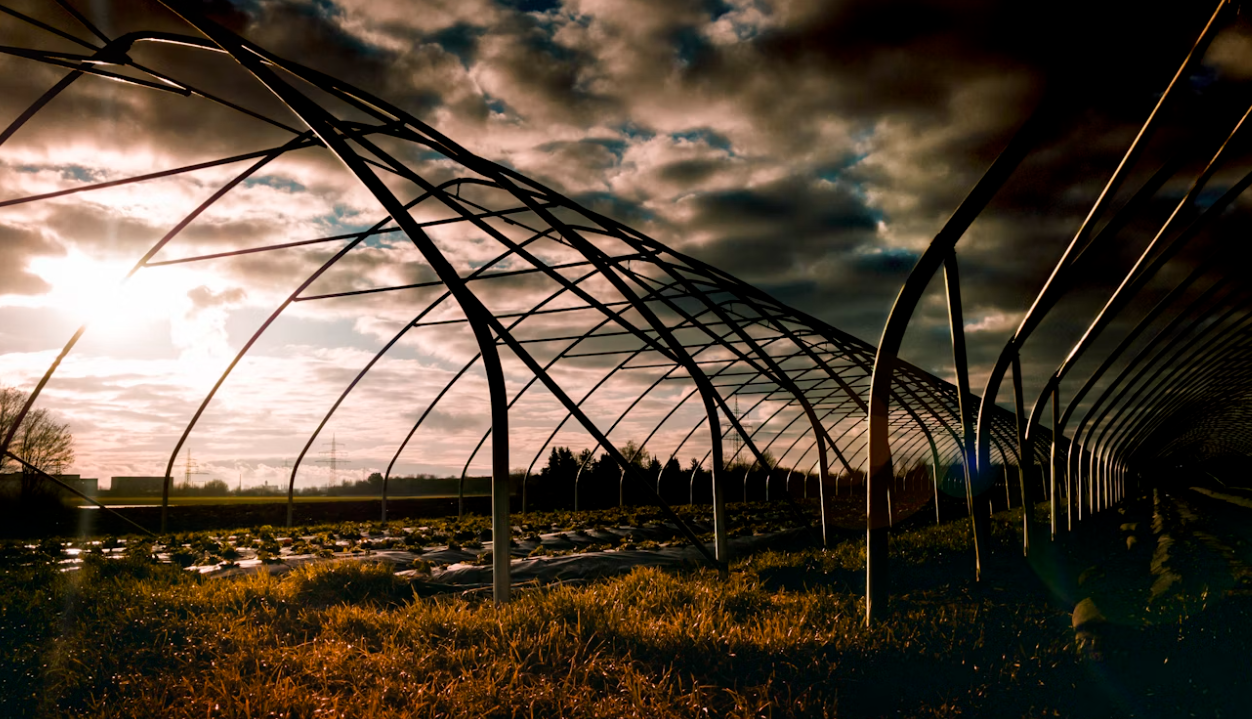 Do greenhouses increase crop yield?
