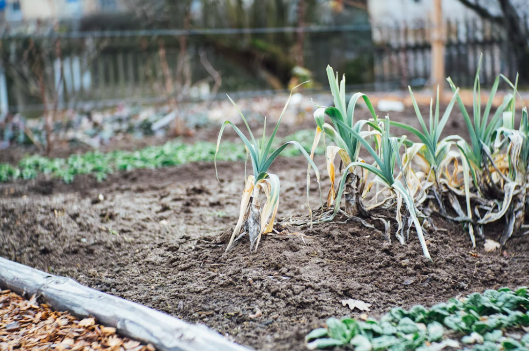 How to improve crop yields in a greenhouse system?