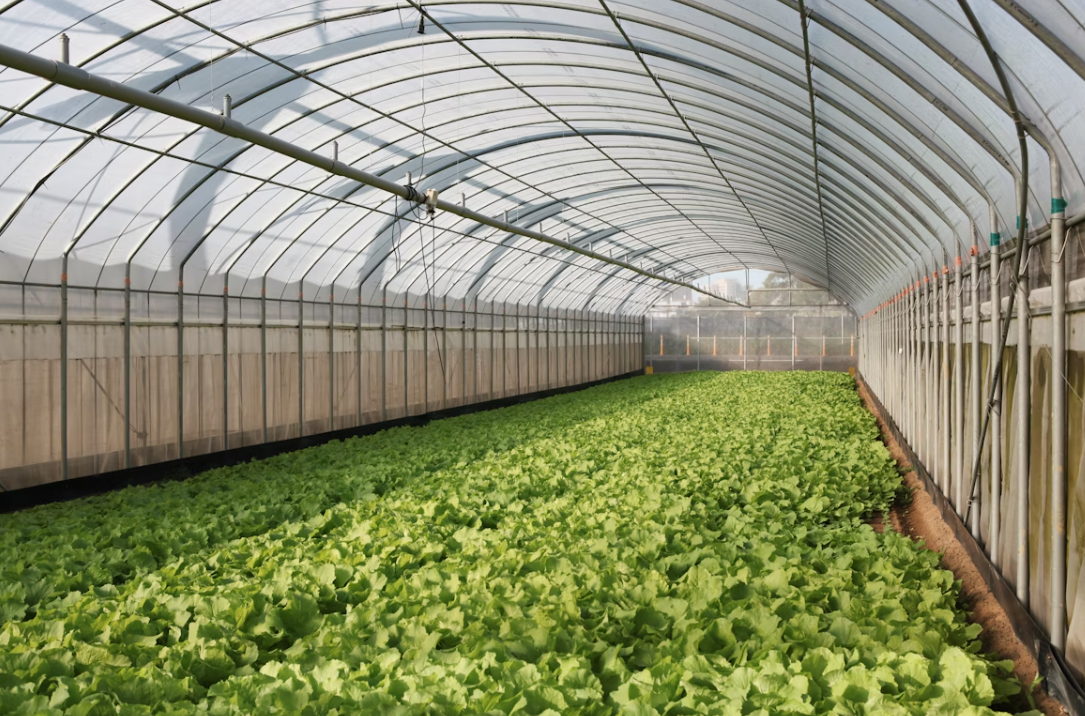 What is the basic principle of greenhouse farming?