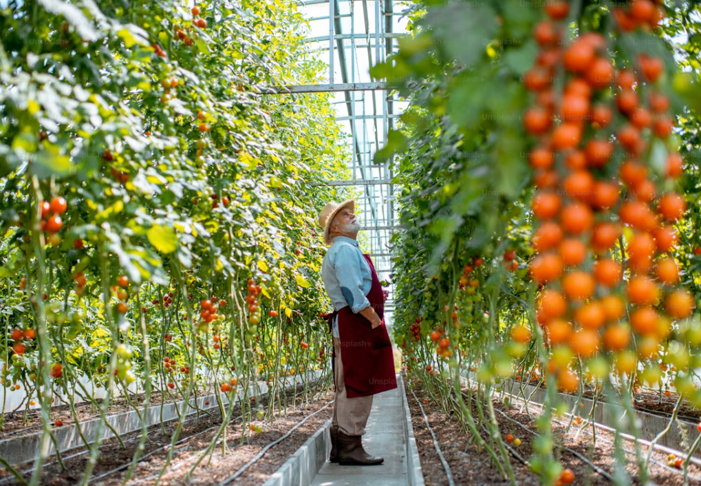 What are the major components of a greenhouse?