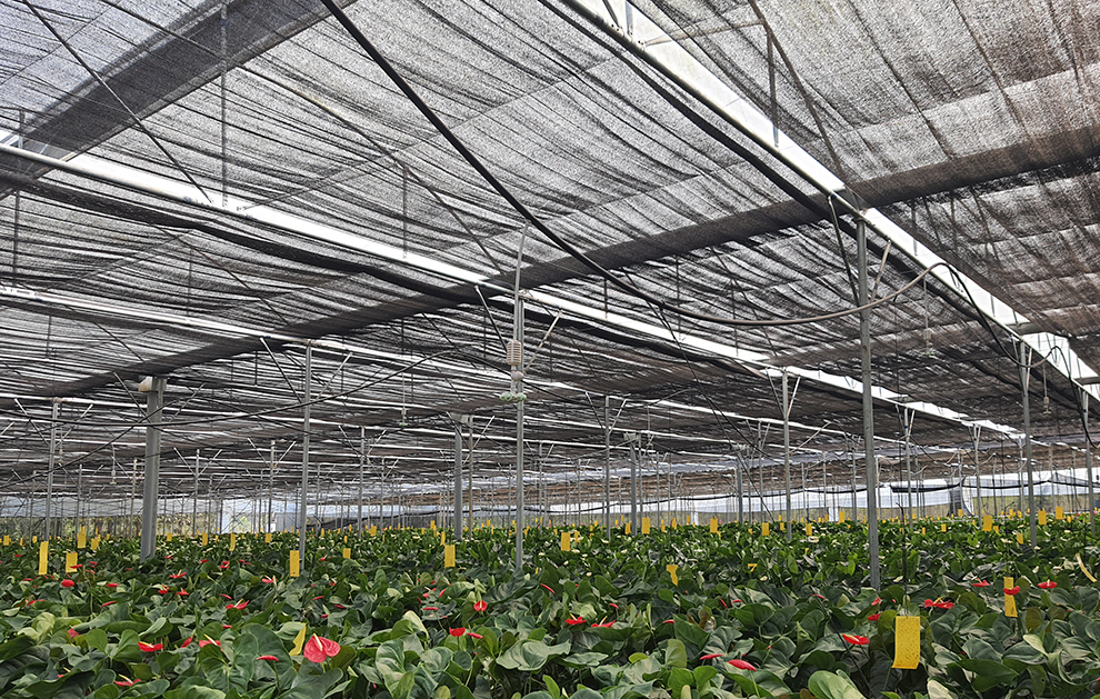 What Is a Greenhouse Shading Net and Do You Really Need One for Your Crops?