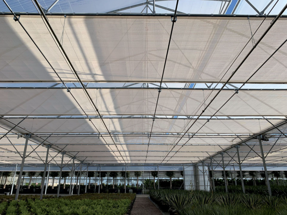 How to Choose the Right Greenhouse Shading Net by Material, Shade Rate, and Crop Type?