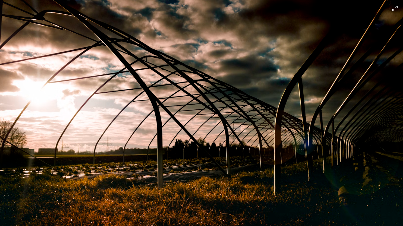 What Is a Smart Greenhouse and How Does It Work?