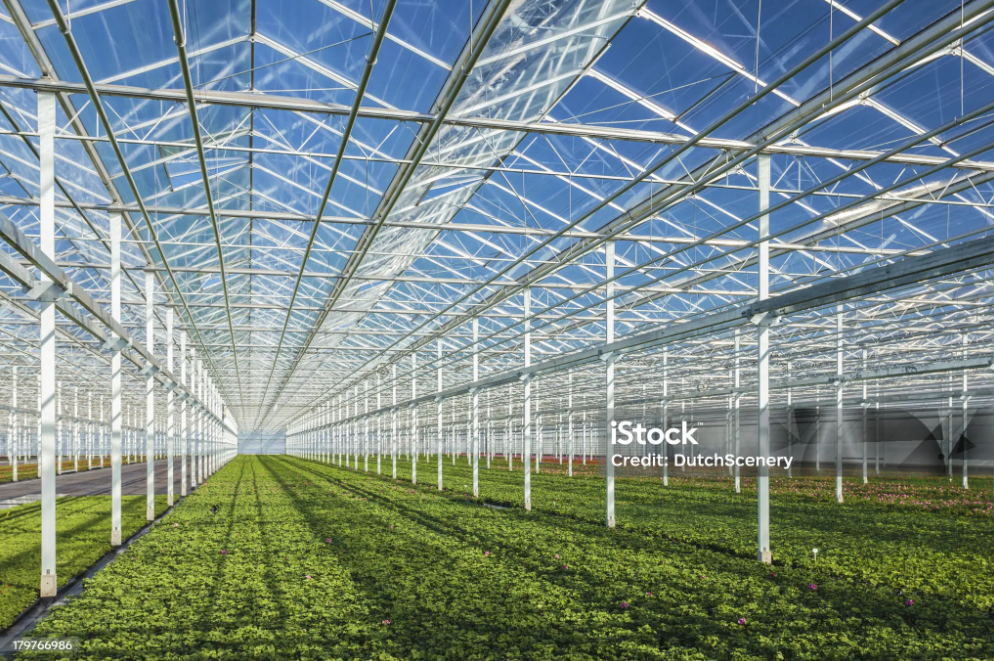 Is a Smart Greenhouse Worth the Investment for Commercial Farming?