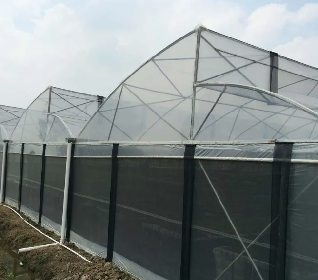 Investing in Sawtooth Greenhouses: A Smart Choice for Profit | Case Studies, Costs & ROI Analysis
