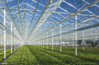 What is a Nursery Farm?