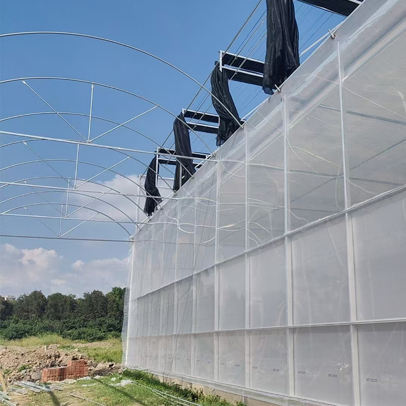 Choosing the Best Greenhouse for Africa: Tackling Climate Challenges for High Yields