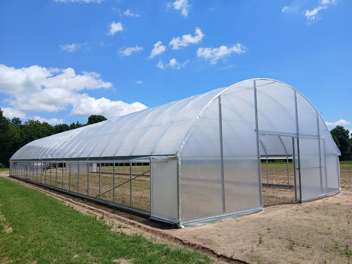 Defend Against the Elements: How Modern Greenhouses Tackle Extreme Weather (Heat, Cold, Wind)