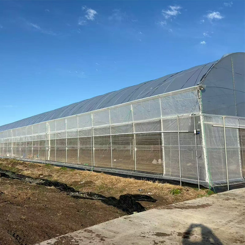 What is the best shape for a greenhouse?