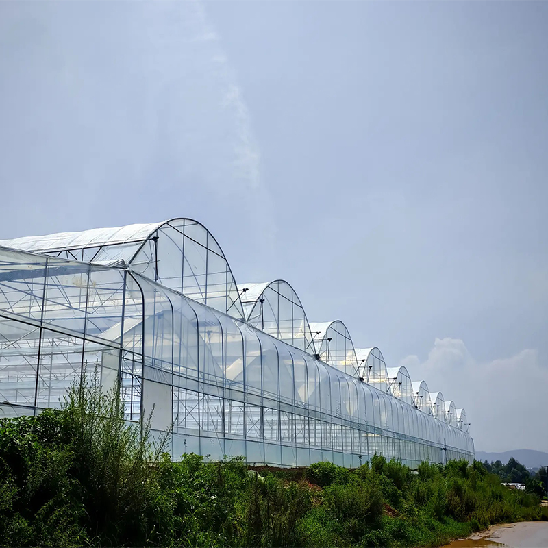 What is the purpose of a sawtooth Greenhouse roof?