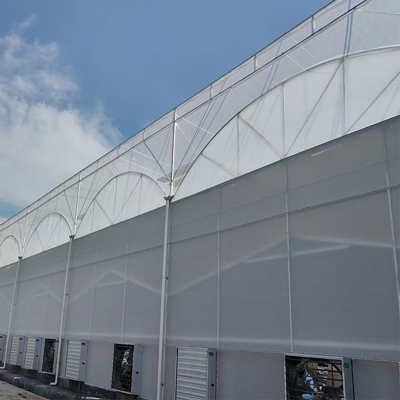 How Greenhouse stay warm in winter?