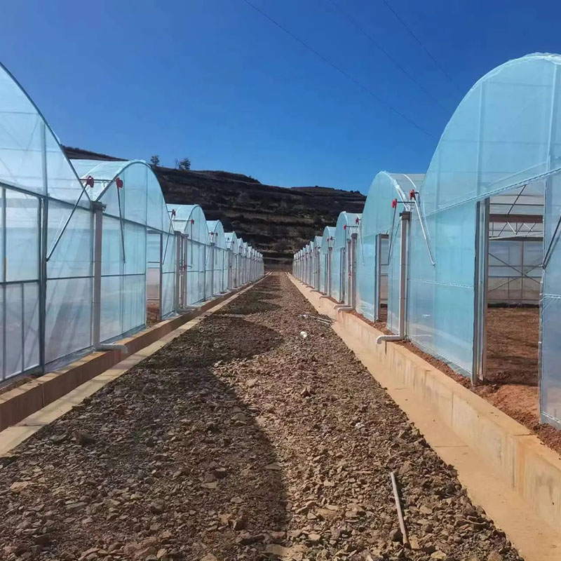 How cold is too cold for a greenhouse?