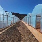 How cold is too cold for a greenhouse?