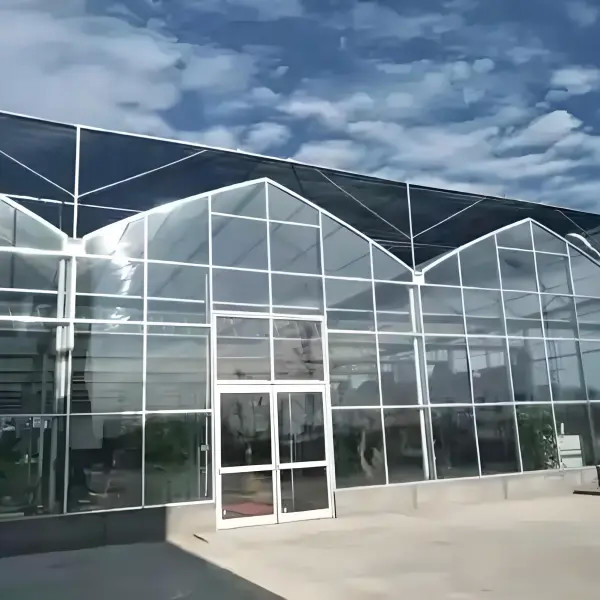 What is a Venlo greenhouse?