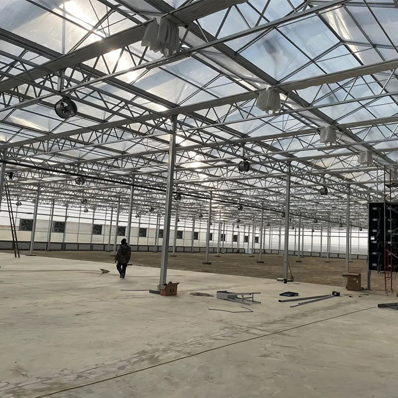 How Often Should You Vent a Greenhouse for Optimal Plant Growth?