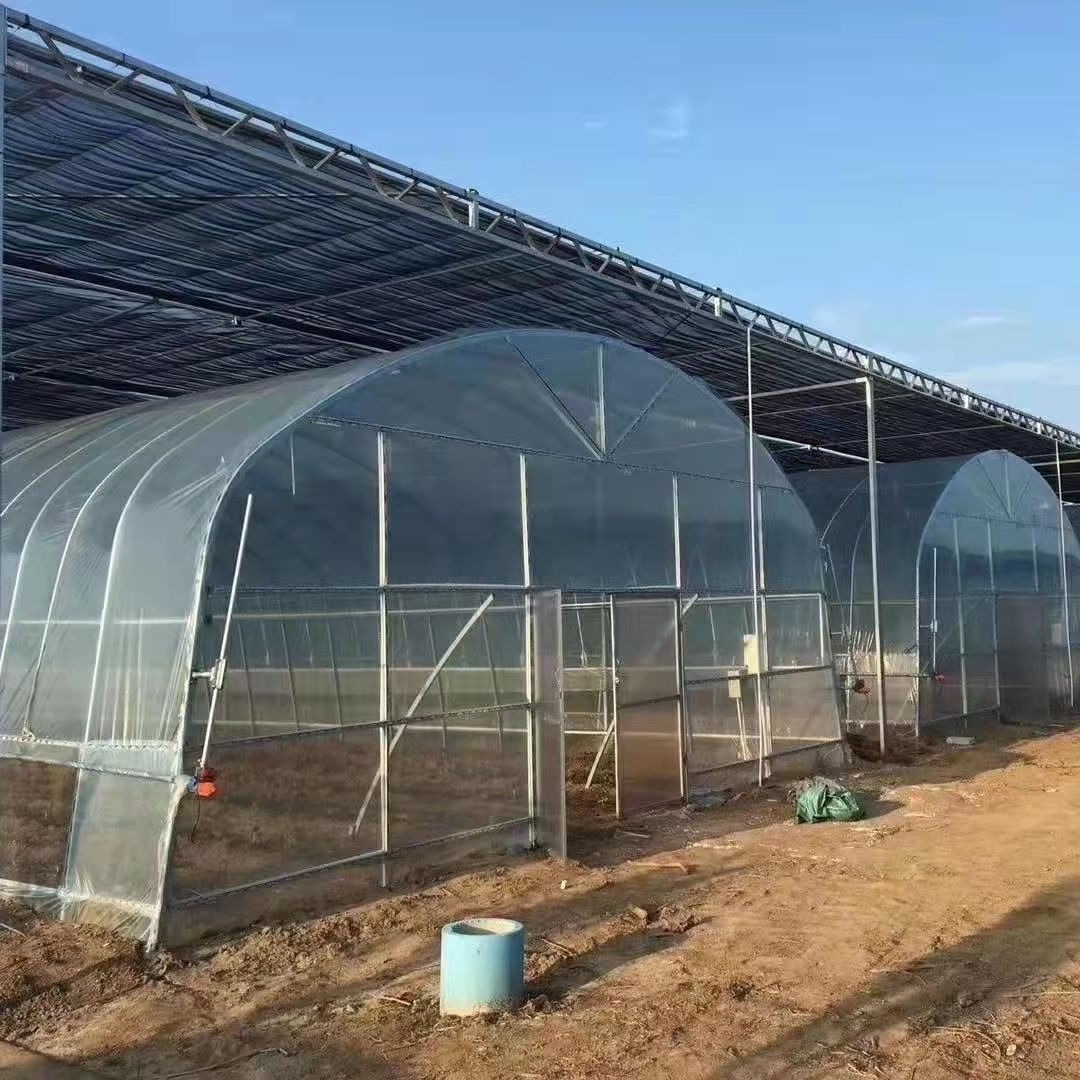 What should you not put in a greenhouse?