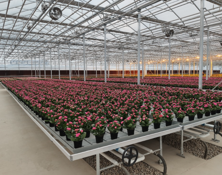 Boost Greenhouse Seedling Efficiency