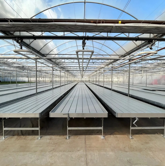 Boosting Greenhouse Propagation Efficiency