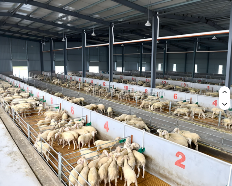 Livestock and Poultry Breeding Greenhouse Design