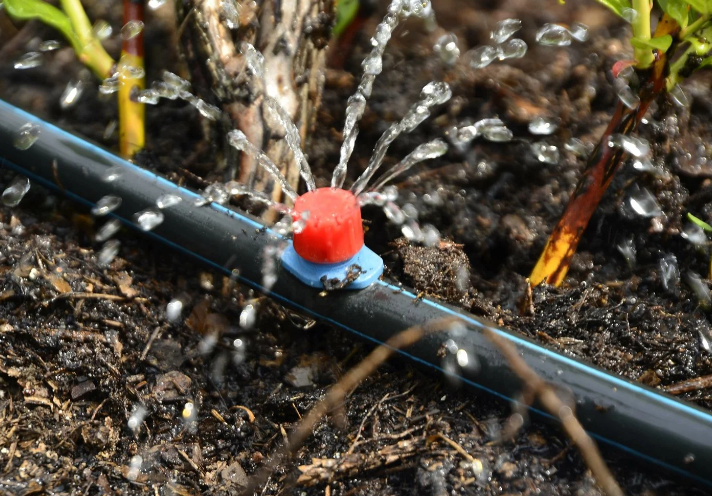 A Comprehensive Guide to Drip Irrigation Systems