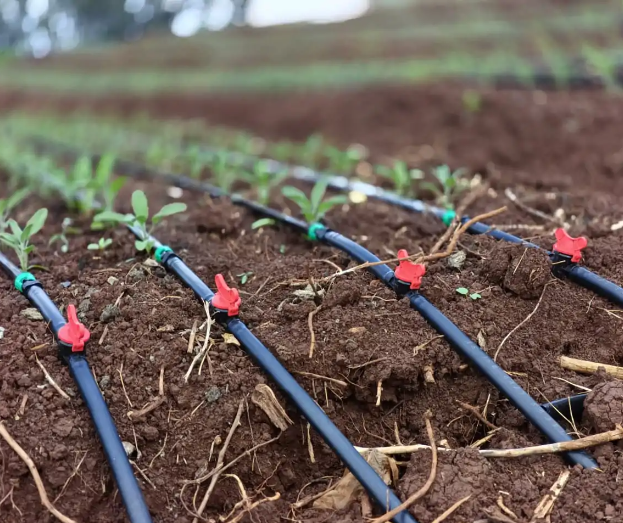 how to setup a drip irrigation system?