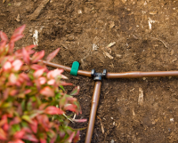 The Ultimate Guide to Drip Irrigation Systems for Greenhouses