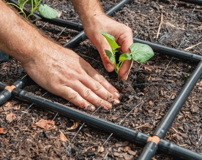 Top 5 Drip Irrigation Systems for Greenhouses in 2026