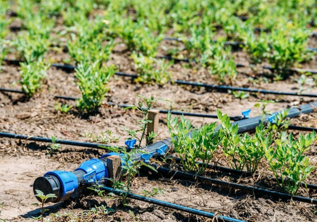 Solving Common Drip Irrigation Problems