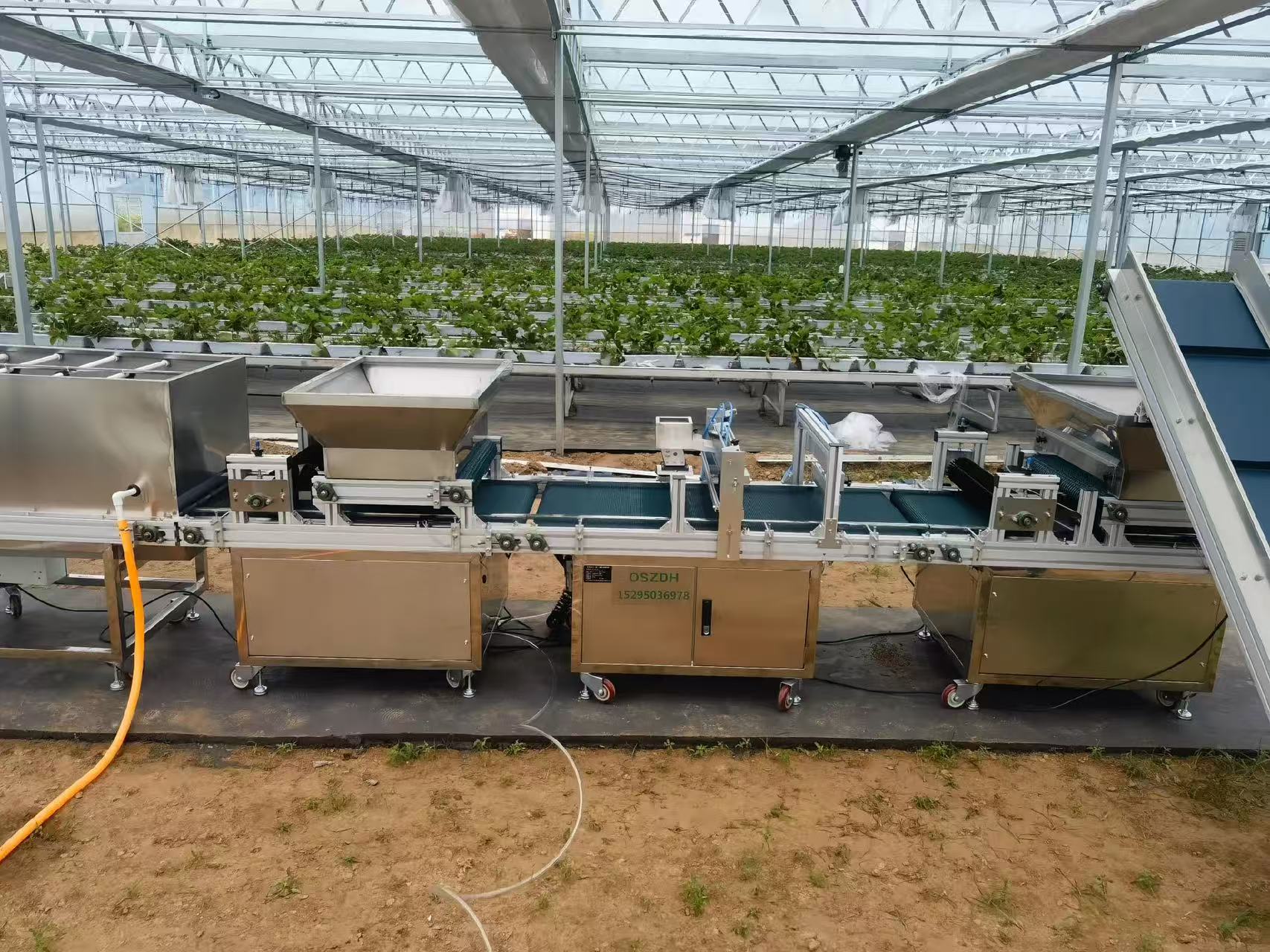 Greenhouse Seeding Machine Buyer’s Guide