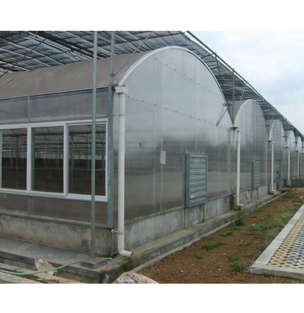 Why Polycarbonate Greenhouses Outperform Glass: Unmatched Durability & Light Diffusion for Year-Round Harvests