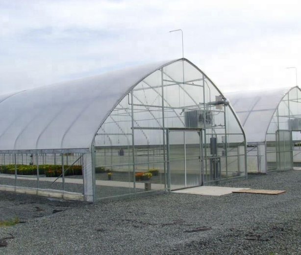 The Ultimate Guide to Multi-Span Polycarbonate Greenhouses: Maximizing Energy Efficiency in Extreme Climates