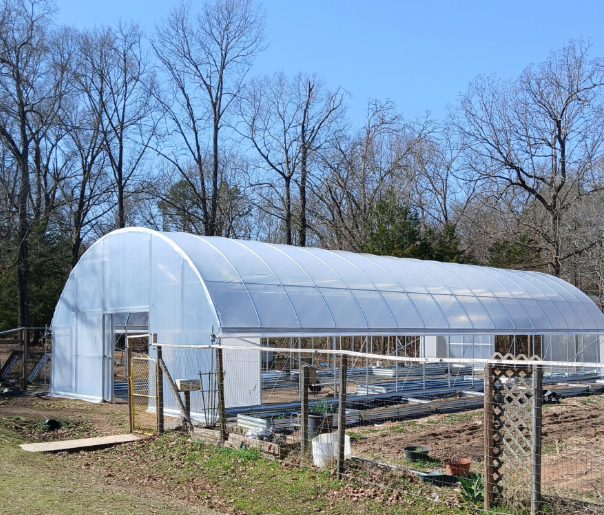 Polycarbonate vs. Polyethylene Film: Why Commercial Growers Are Switching to Rigid Twin-Wall Sheets