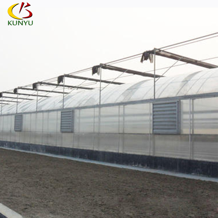 Phalaenopsis Orchid Greenhouse Design Parameters