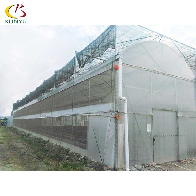 Multi-Span Greenhouse High-Yield Cultivation Scheme for Tomato and Cucumber