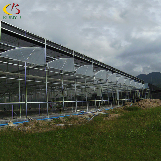 Greenhouse Design for Hot and Humid Southern Regions