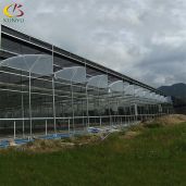 Greenhouse Design for Hot and Humid Southern Regions