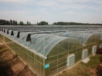 Northern Winter Greenhouse Insulation and Anti-Freezing Technologies