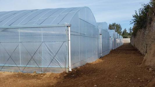Southeast Asia and Vietnam Greenhouse Design
