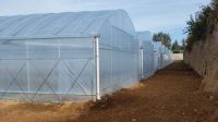 Southeast Asia and Vietnam Greenhouse Design